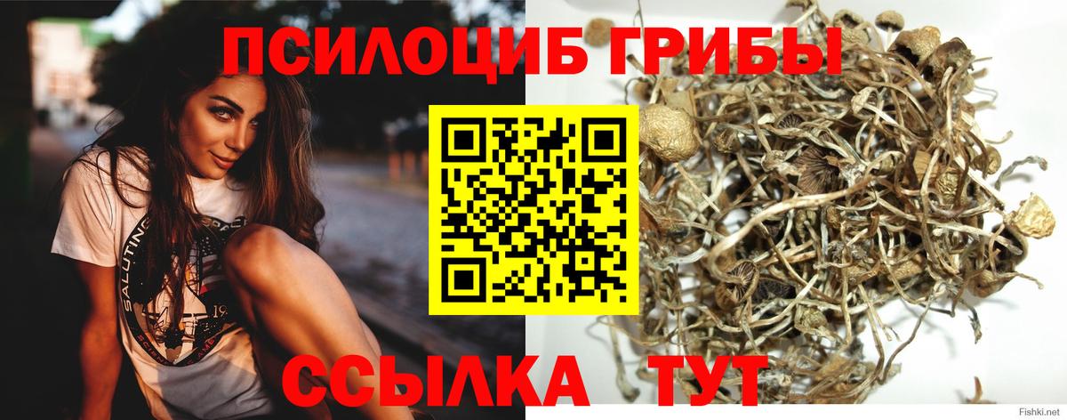 Галлюциногенные грибы Magic Shrooms Орёл